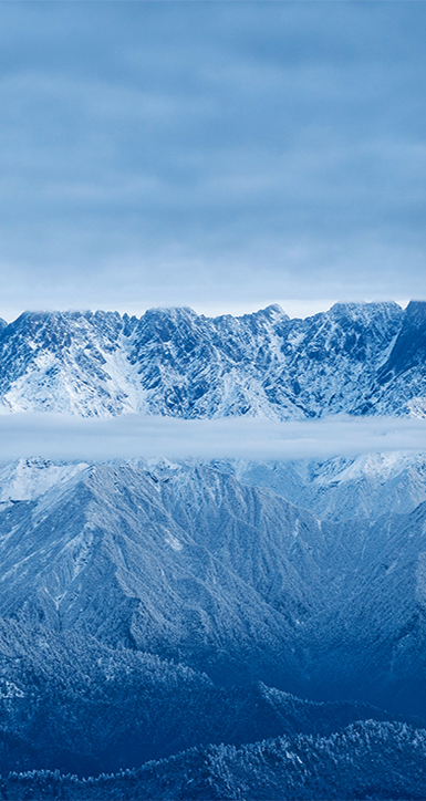 关于凯时优质运营商